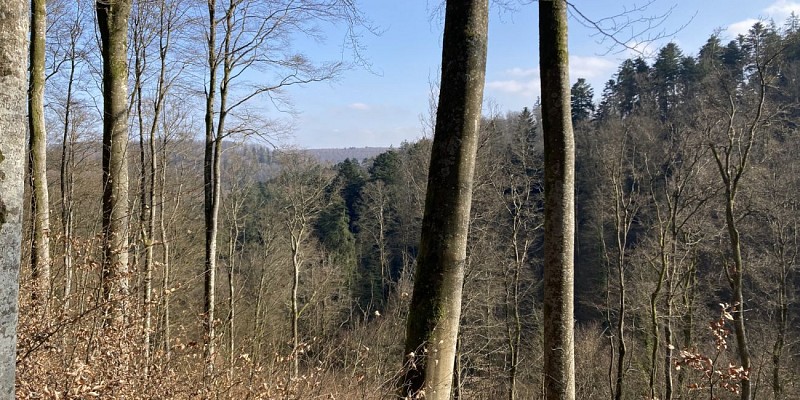 Au cœur de la nature