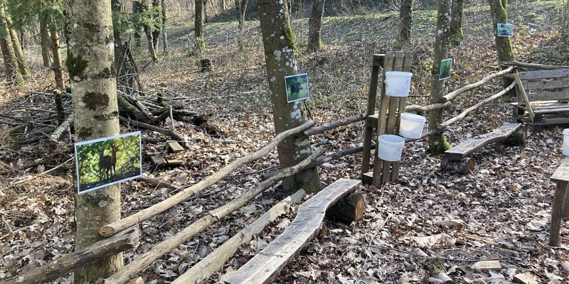 Le jardin des écureuils