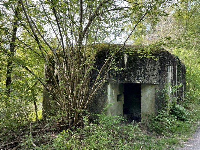 Fahrradtour Gravel-Mountains bike: les Casemates