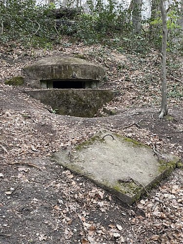 Fahrradtour Gravel-Mountains bike: les Casemates