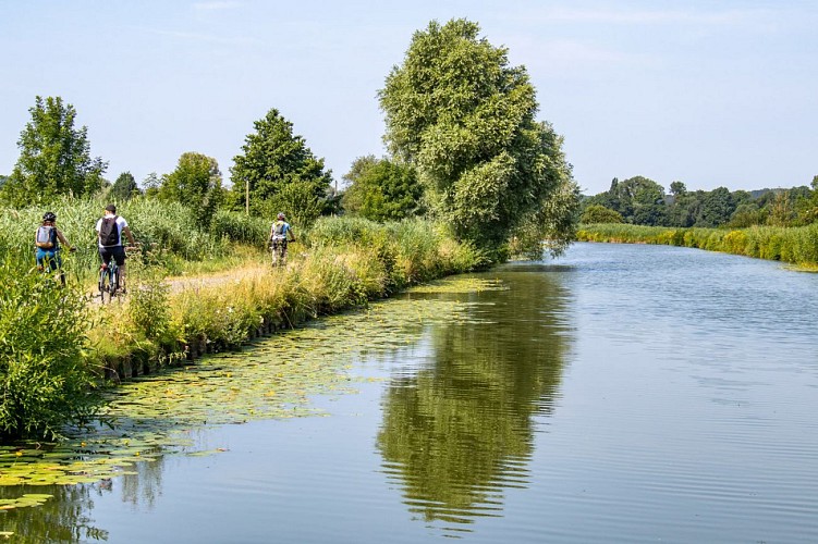 Canal du Rhône au Rhin