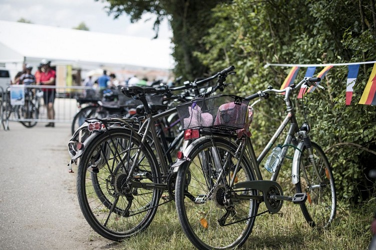 Fahrradtour im Elsass - An der Maginot Linie