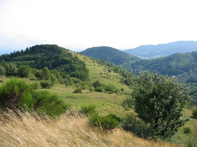 Vue du Col du Hundsrück