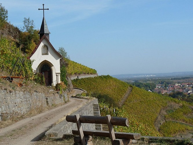 La Chapelle Saint-Urbain qui domine le vignoble du Rangen de Thann