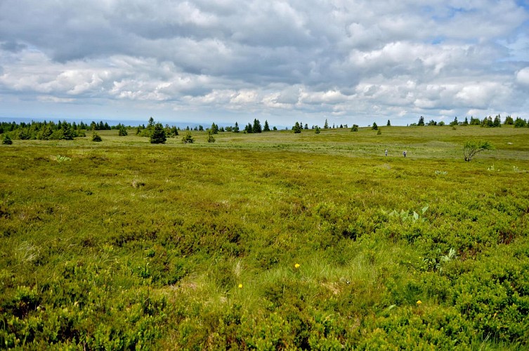 Wanderung - die 4 Seen Tour