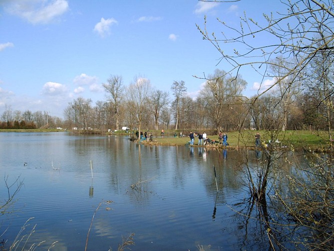 Etangs du Zich à Molsheim