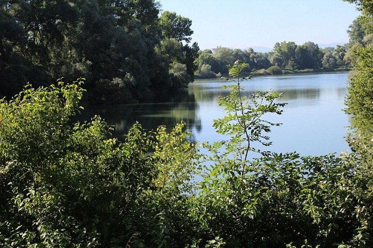 Sentier pédestre : Les curiosités au bord des eaux