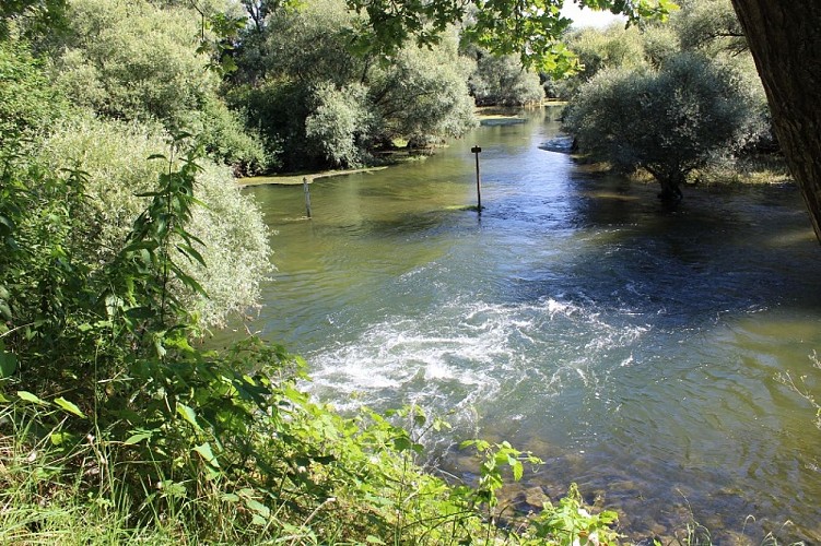Sentier pédestre : Les curiosités au bord des eaux