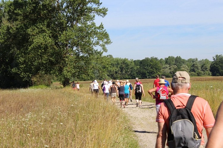 Sentier pédestre : Les curiosités au bord des eaux