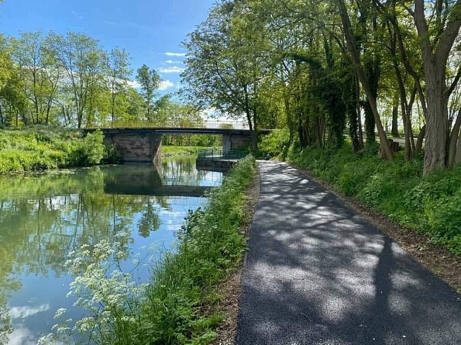 Rhône au Rhin, Nord - Von Neuf-Brisach bis Artzenheim