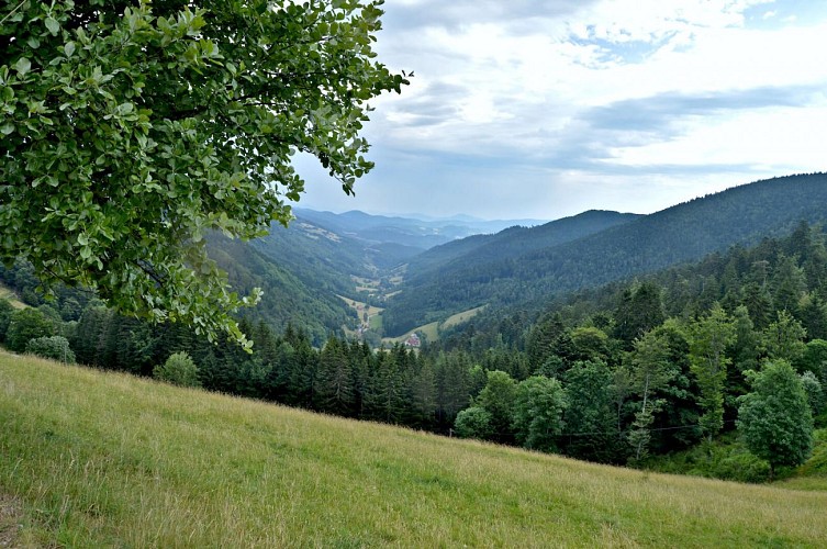 Wanderung - auf den Höhen von Le Bonhomme