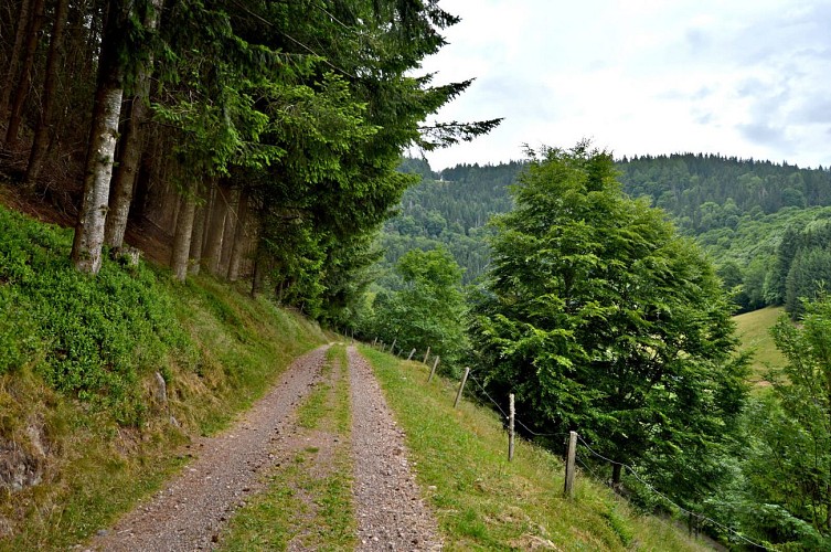 Wanderung - auf den Höhen von Le Bonhomme