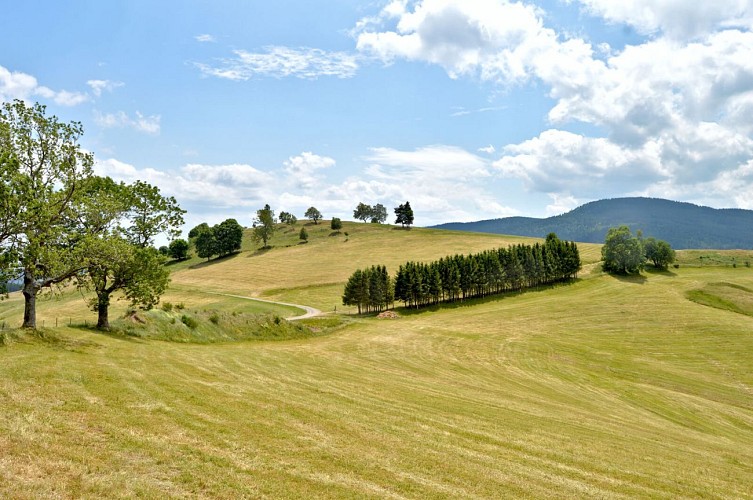 Hiking tour - on the heights of Le Bonhomme