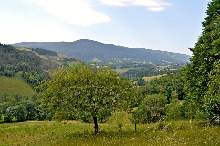 Hiking tour - on the heights of Le Bonhomme