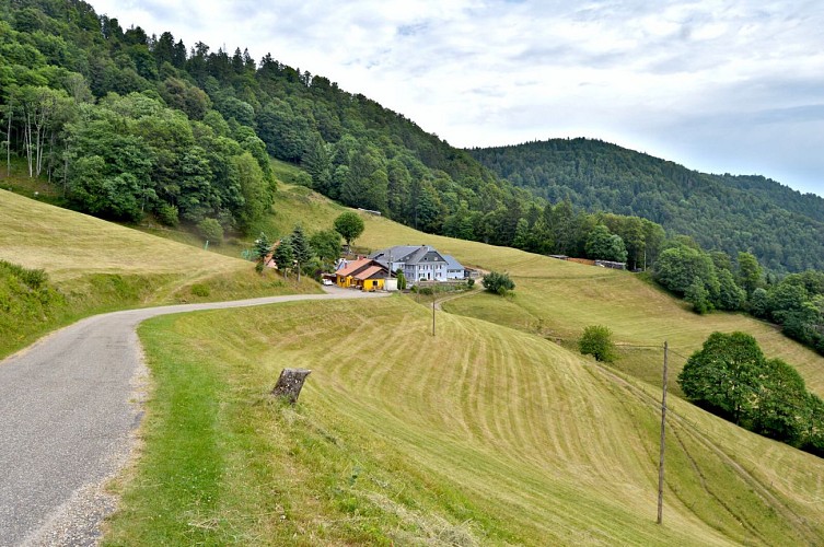 Circuit rando - sur les hauteurs du Bonhomme