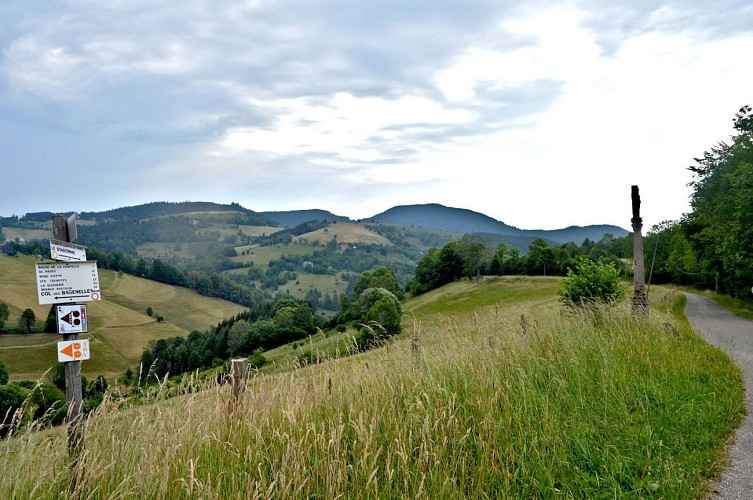 Circuit rando - sur les hauteurs du Bonhomme