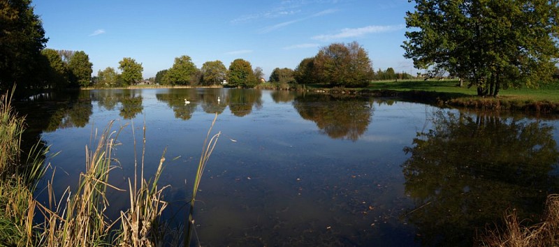 Etang du Sundgau