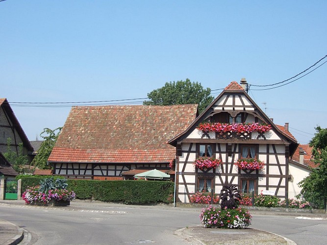 Rundwanderweg: der Natur- und Geschichtspfad