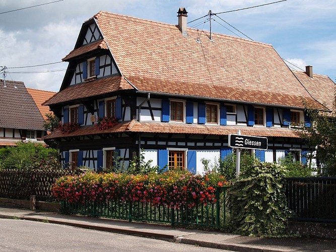 Walking tour: the natural and historical heritage trail