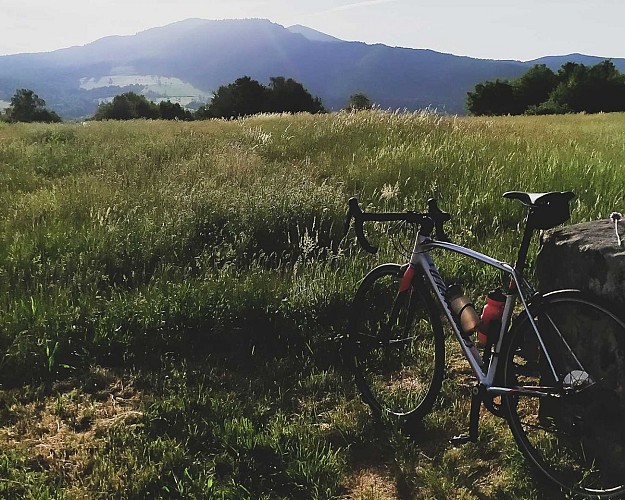 Circuit vélo route - Col de Steige - Col de la Charbonnière - Champ du Feu