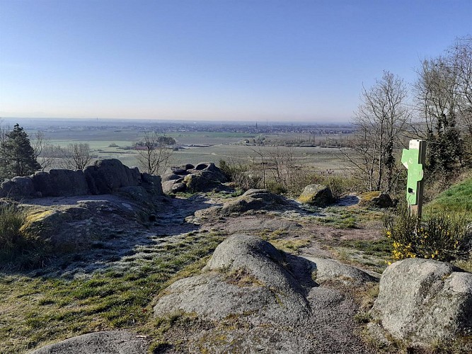 Hiking tour - towards Ortenbourg castle
