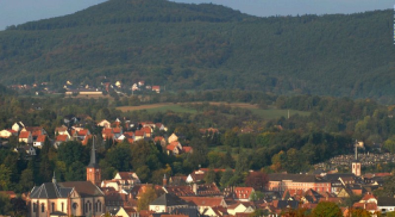 Spaziergang auf den Anhöhen von Niederbronn-les-Bains