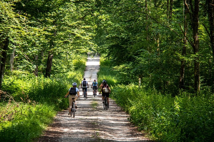 Gravel dans le Sundgau