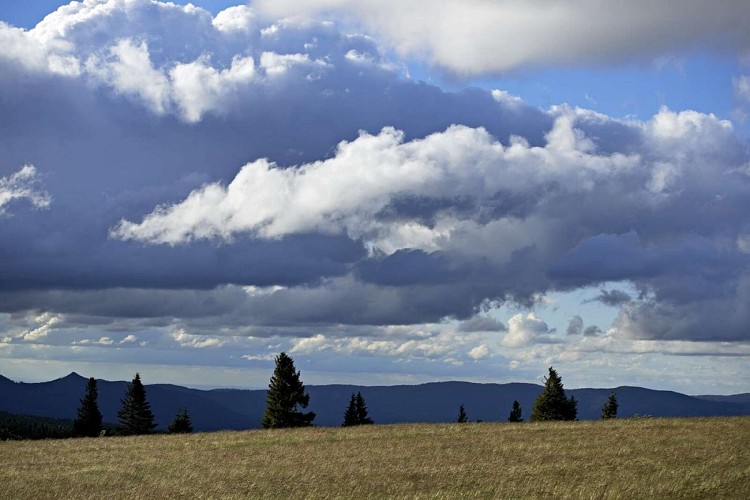 Circuit rando D08 : Du Donon à la Chaume de Requival