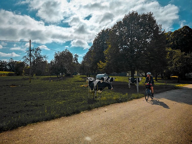 Vélo Gravel dans le Sundgau