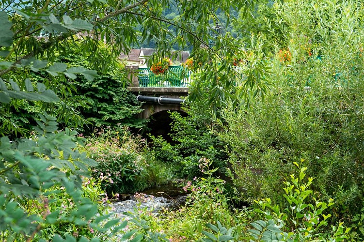 Le sentier de l'eau