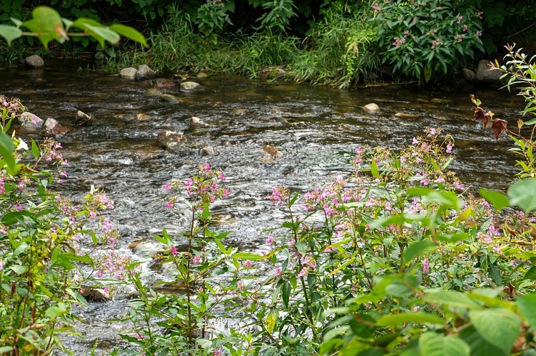 Le sentier de l'eau