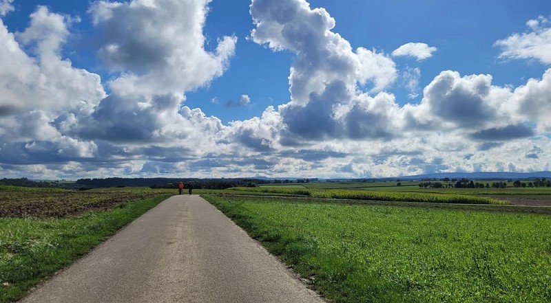 Radtour für alle - Ill-Tal und Sundgau-Plateau