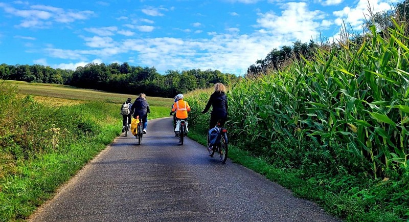 Boucle Alsace à Vélo & Tricycle pour tous - Vallée de l'Ill et plateau sundgauvien