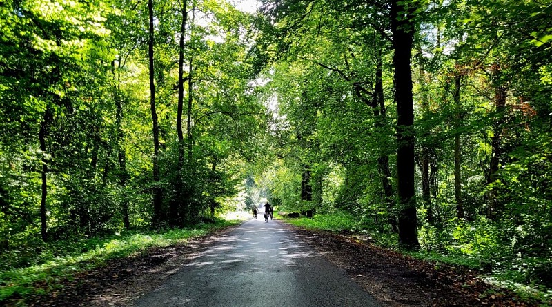 Boucle Alsace à Vélo & Tricycle pour tous - Vallée de l'Ill et plateau sundgauvien