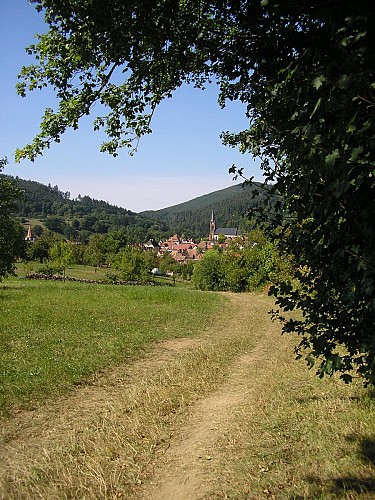 Wandertour rund um den Ortsteil Disteldorf