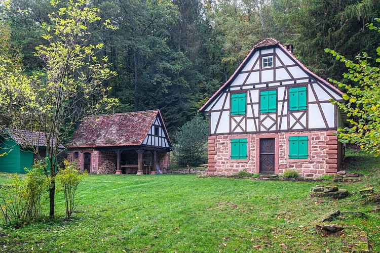 Hiking tour around the Disteldorf hamlet