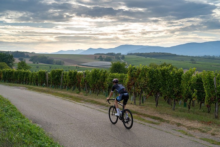9.Au fil des Champs - Gravel
