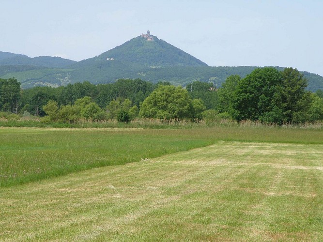 Circuit dans l'Ill*Wald