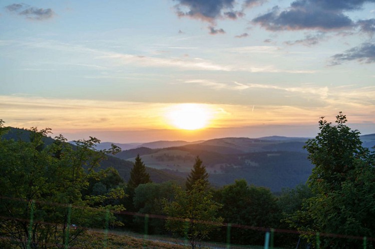 Hiking trail H20: The great Ban de la Roche loop