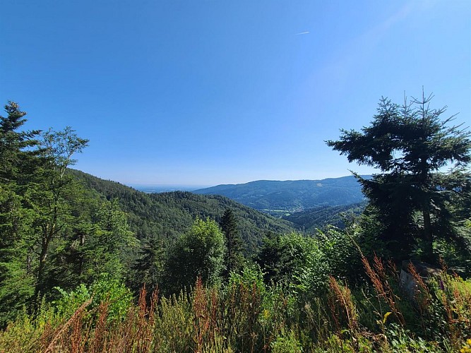 Circuit du chalet du Sickertbach