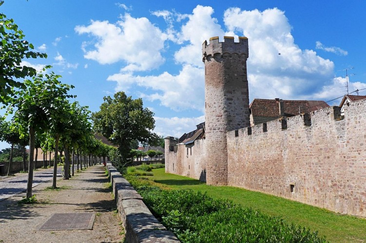 Circuit des remparts