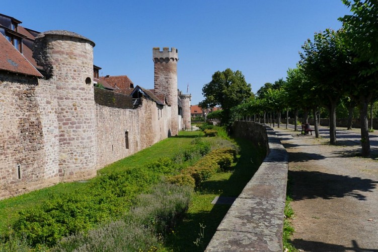 Circuit des remparts