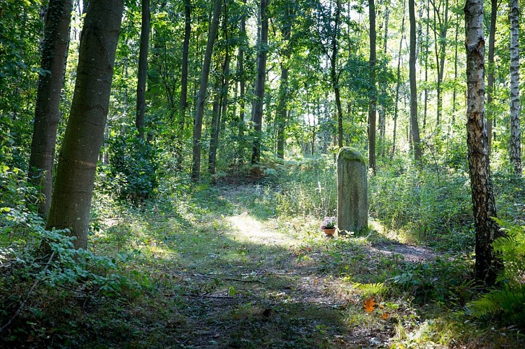 Circuit découverte En forêt de Weitbruch