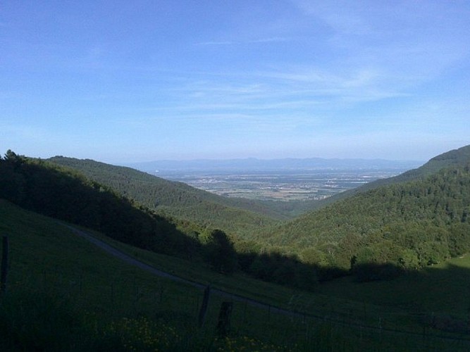 Panorama sur la plaine d'Alsace depuis le Col Amic