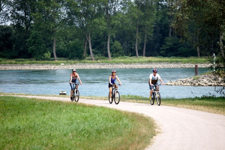 Circuit vélo : des villages pittoresques aux bords du Rhin