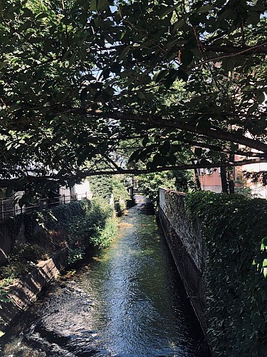 Le canal usinier de Cernay en Alsace