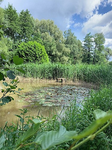 Arboretum de Roderen