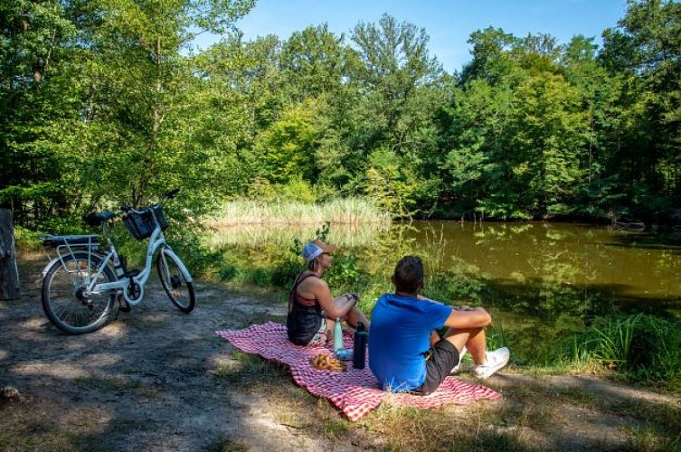 Circuit vélo à la découverte de la Forêt d'Exception®