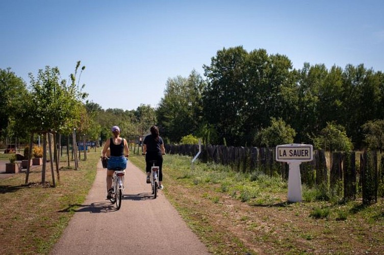 Circuit vélo à la découverte de la Forêt d'Exception®