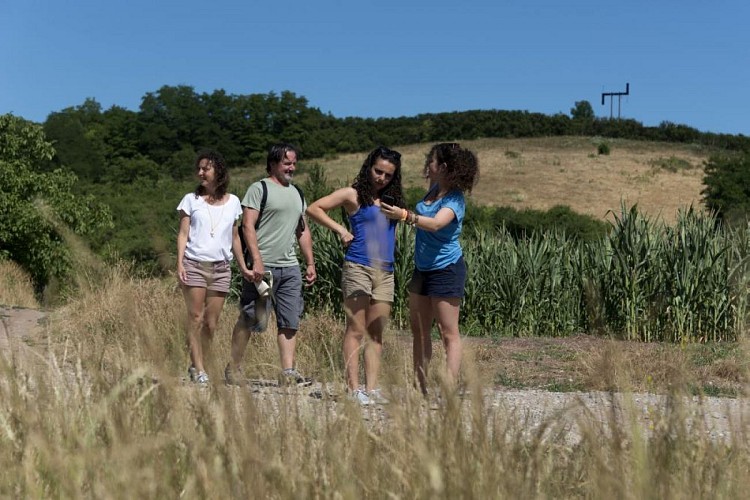 Sentier : autour du Kochersberg